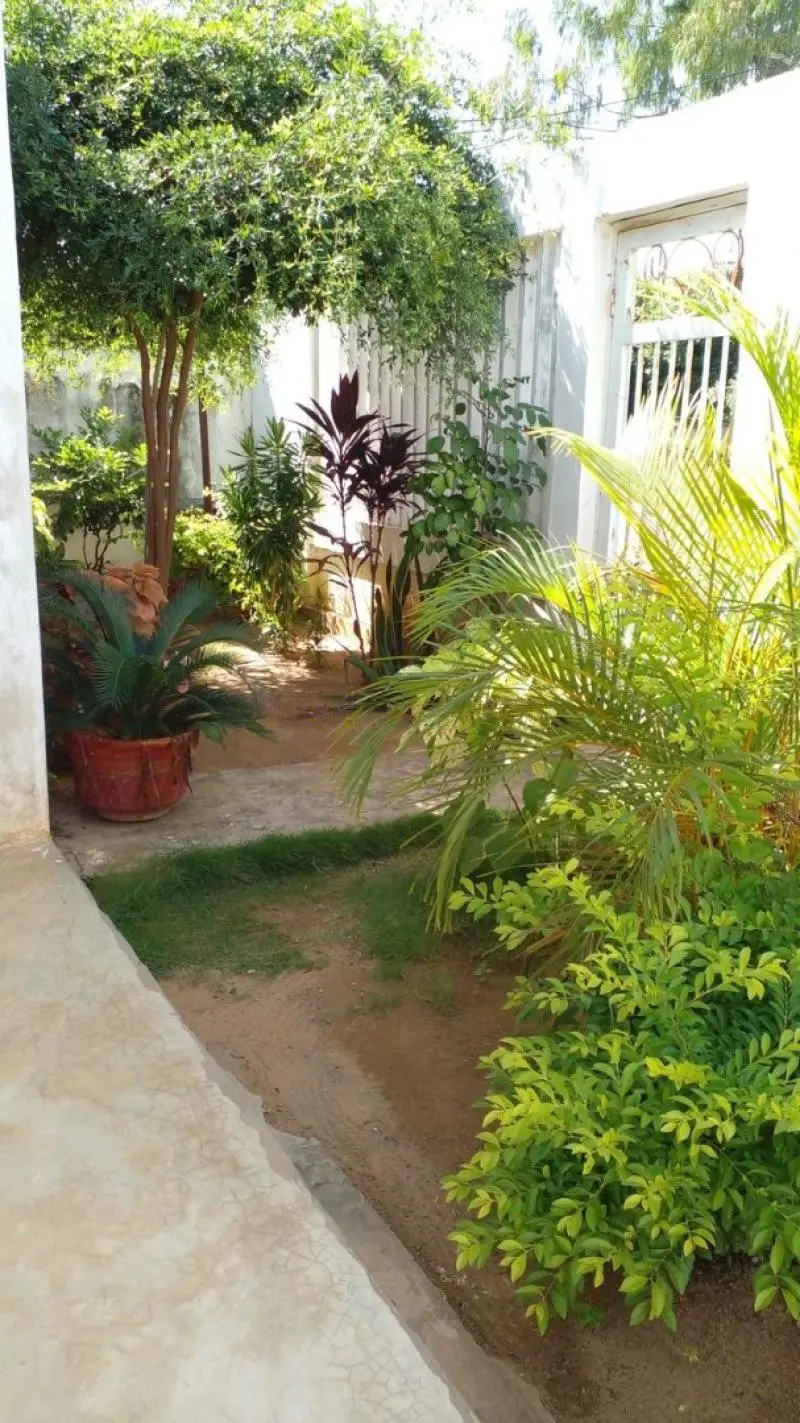Villa meublée avec jardin à Tichy – Tichy, Béjaïa