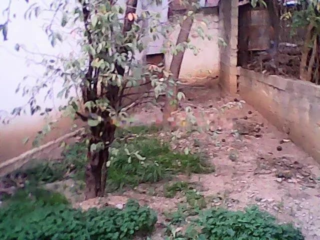Villa R+2 avec jardin à Melbou – photo 2